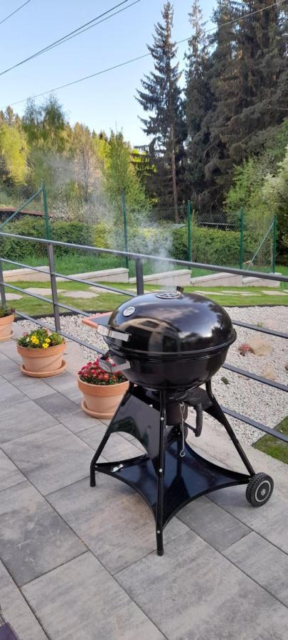 Apartmany Aktiv Lipno Lipno nad Vltavou Dış mekan fotoğraf